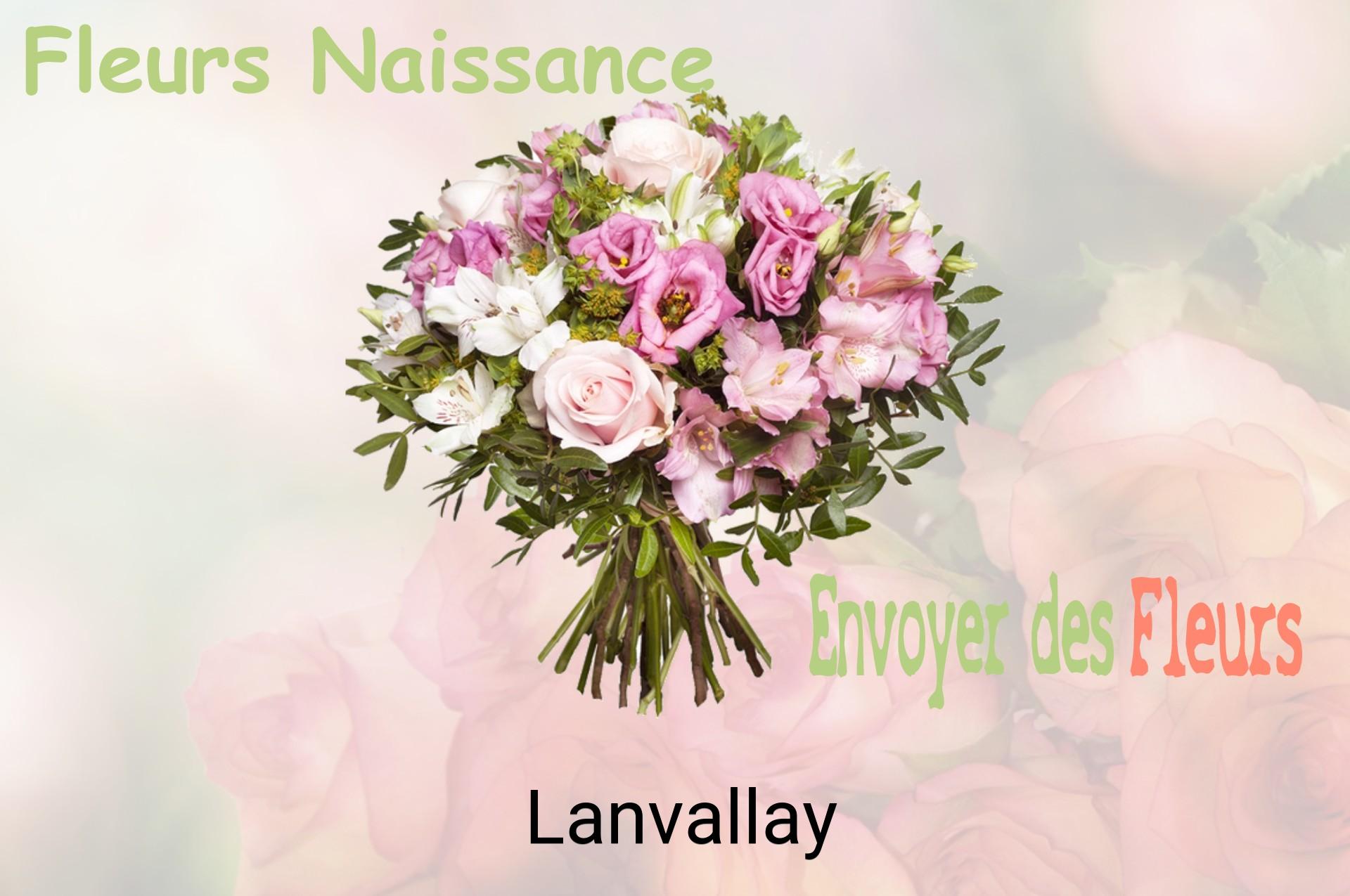 Bouquet de fleurs de naissance livré à Lanvallay