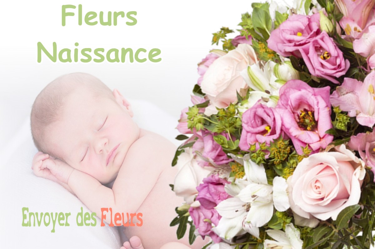 lIVRAISON FLEURS NAISSANCE à LANVALLAY