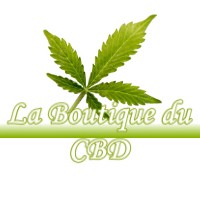 LA BOUTIQUE DU CBD LANVALLAY 